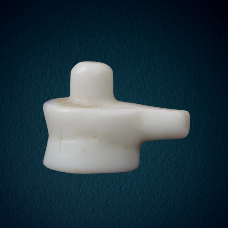 MILKY WHITE SHIVLING